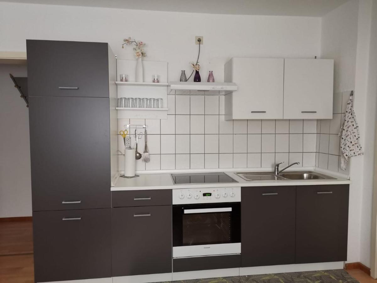 Ferienwohnung Harmonie 45 M2 索林根 外观 照片