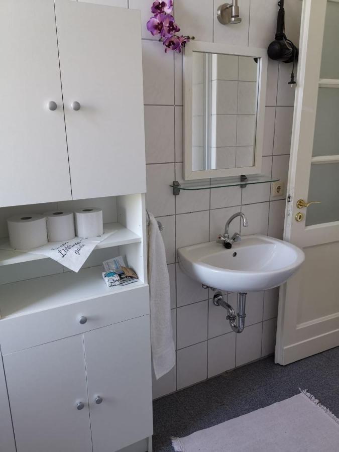 Ferienwohnung Harmonie 45 M2 索林根 外观 照片
